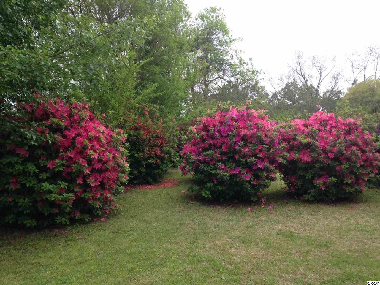 Sunset Street Loris, SC 29569 - Photo 25 of 25 Gallery Image 25