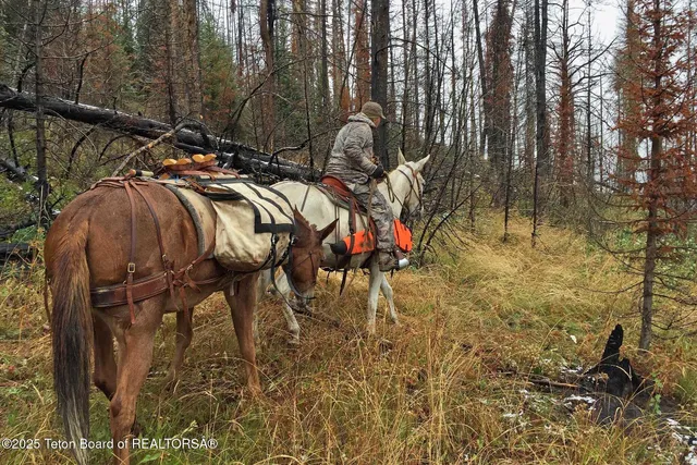$2,970,000 | 14567 South Us Highway, Bondurant, WY 82922