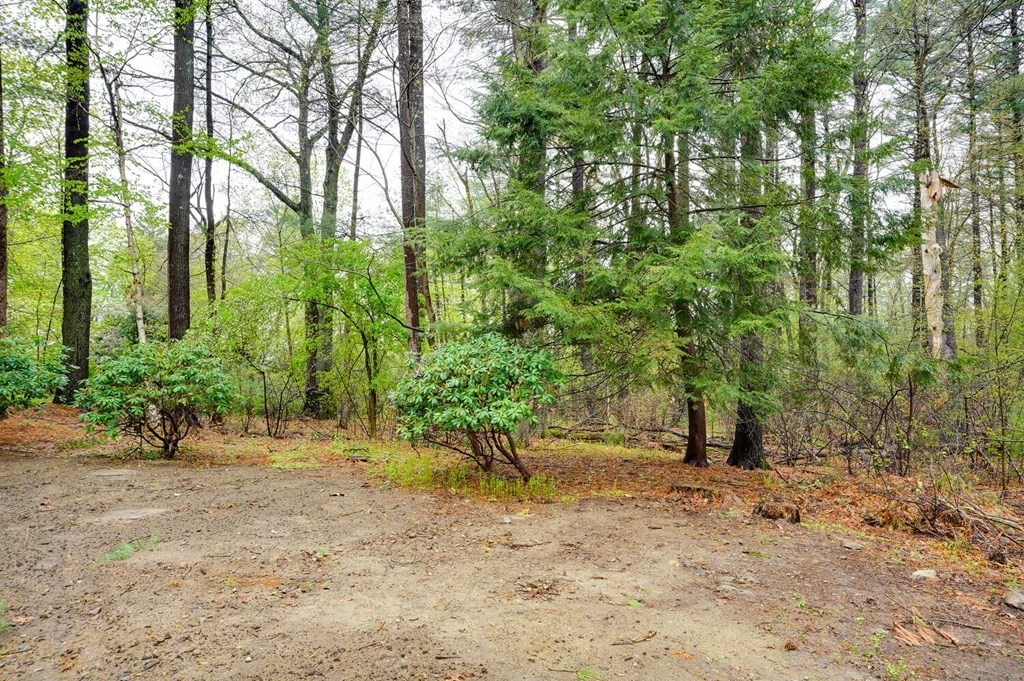 8 Coolidge Road Wayland, MA 01778 - Photo 32 of 33