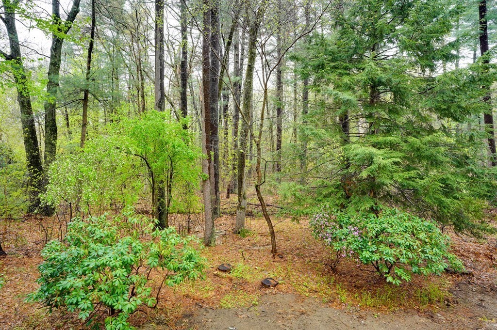 8 Coolidge Road Wayland, MA 01778 - Photo 33 of 33