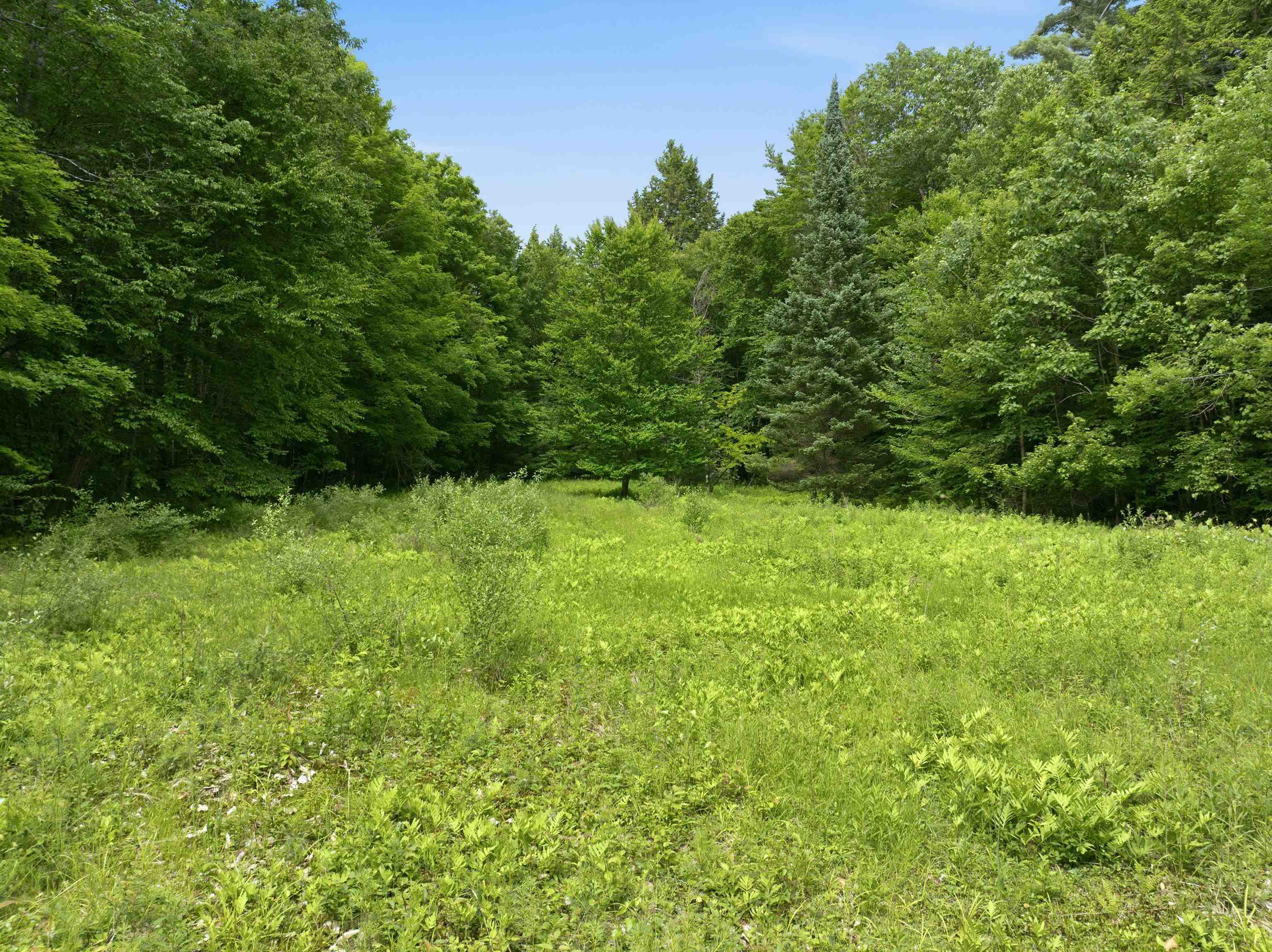 125 Lee Road Moultonborough, NH 03254 - Photo 45 of 55