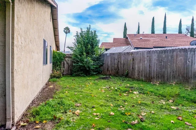 a plant view in yard