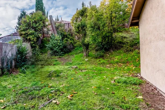 a view of a backyard with large trees