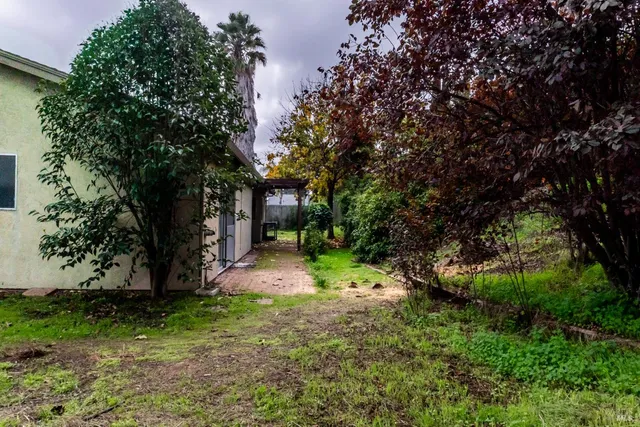 a view of a backyard with table and chairs and a large tree