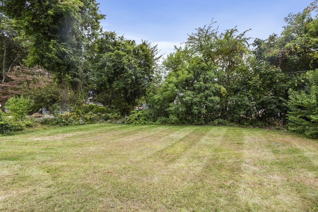 26 Maple Street Taunton, MA 02780 - Photo 7 of 31 a view of a yard with a trees