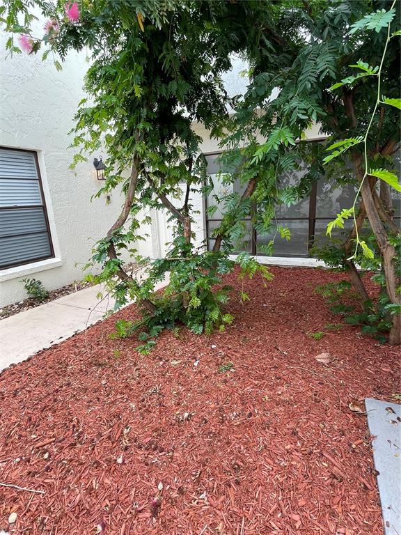 4615 Stonehaven Place New Port Richey, FL 34652 - Photo 19 of 19