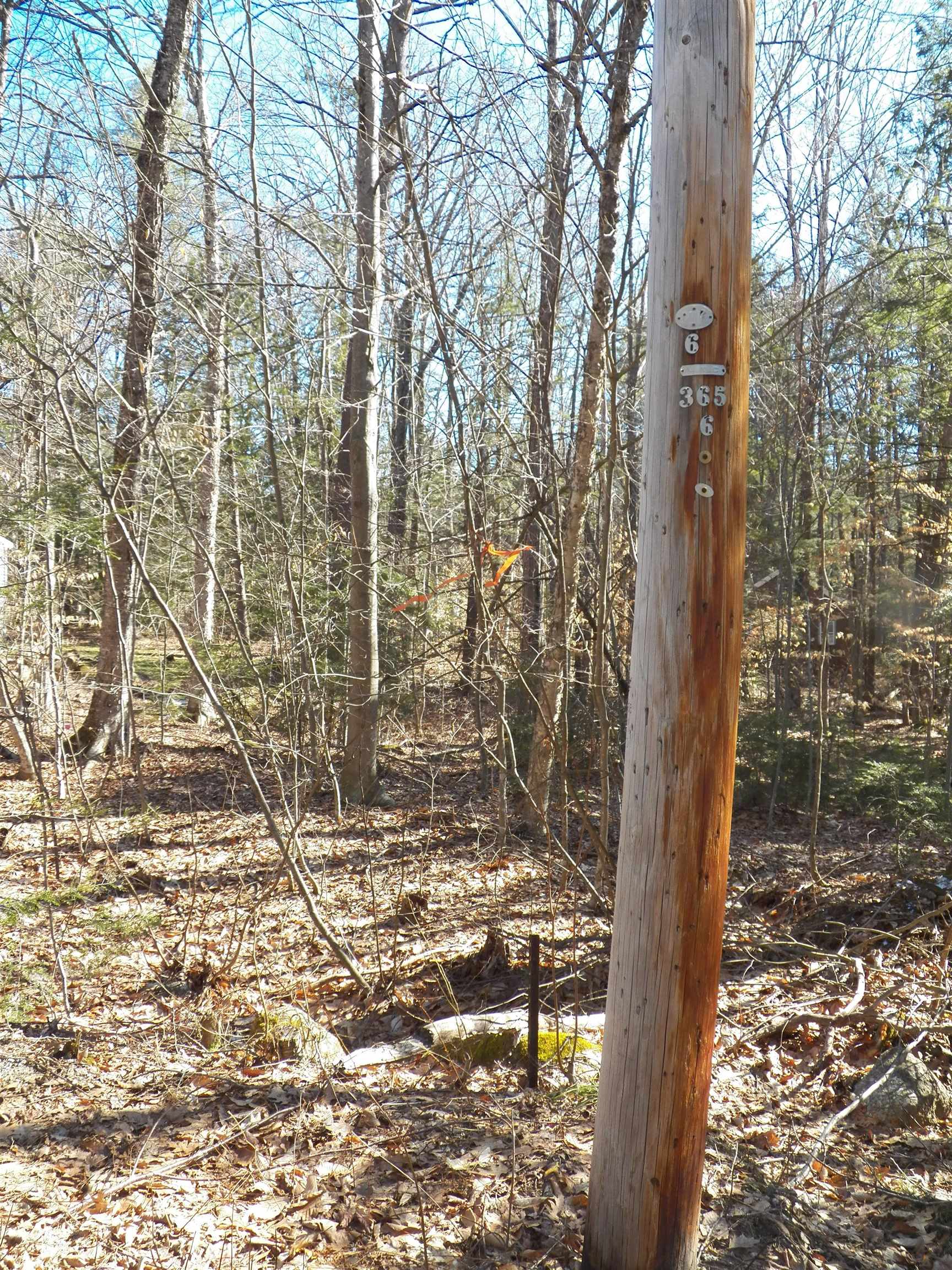 14-194 Seminole Road Hillsborough, NH 03244 - Photo 5 of 24