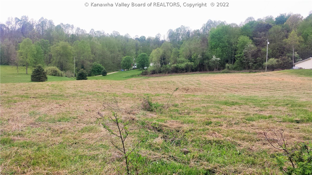 0 Rayburn Road Point Pleasant, WV 25550 - Photo 2 of 5 Gallery Image 2