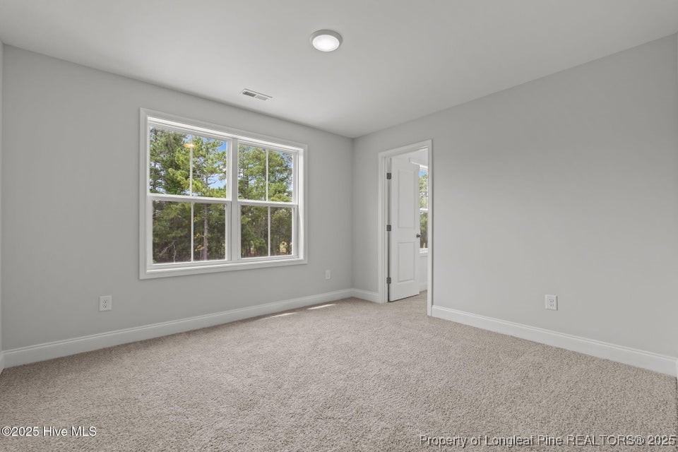 228 Dove Road Cameron, NC 28326 - Photo 27 of 45 Gallery Image 27