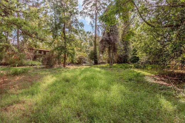 a view of yard with green space
