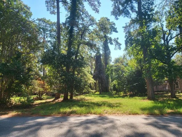 a view of backyard with green space