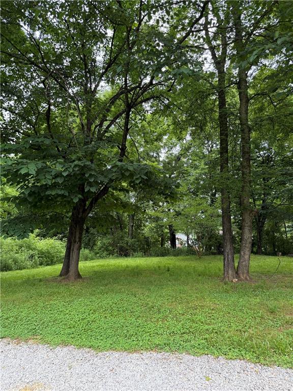 1515 Little Road Canton, GA 30115 - Photo 4 of 16