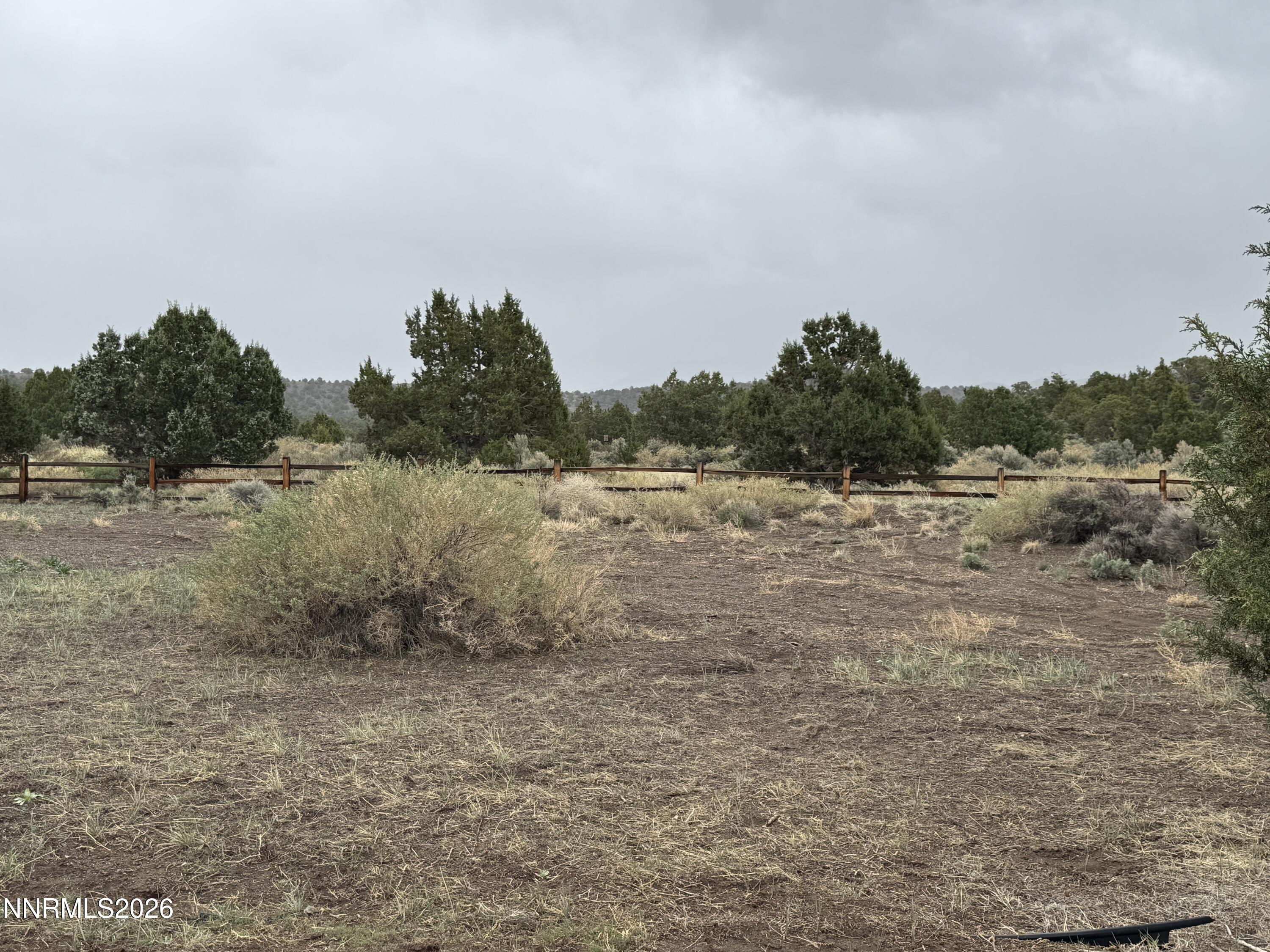 2020 Rocking Horse Road Gardnerville, NV 89410 - Photo 28 of 33 IMG_6581