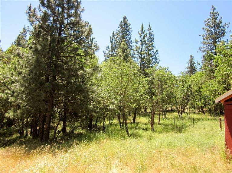 8200 East Antelope Road Eagle Point, OR 97524 - Photo 19 of 30 Additional Photo