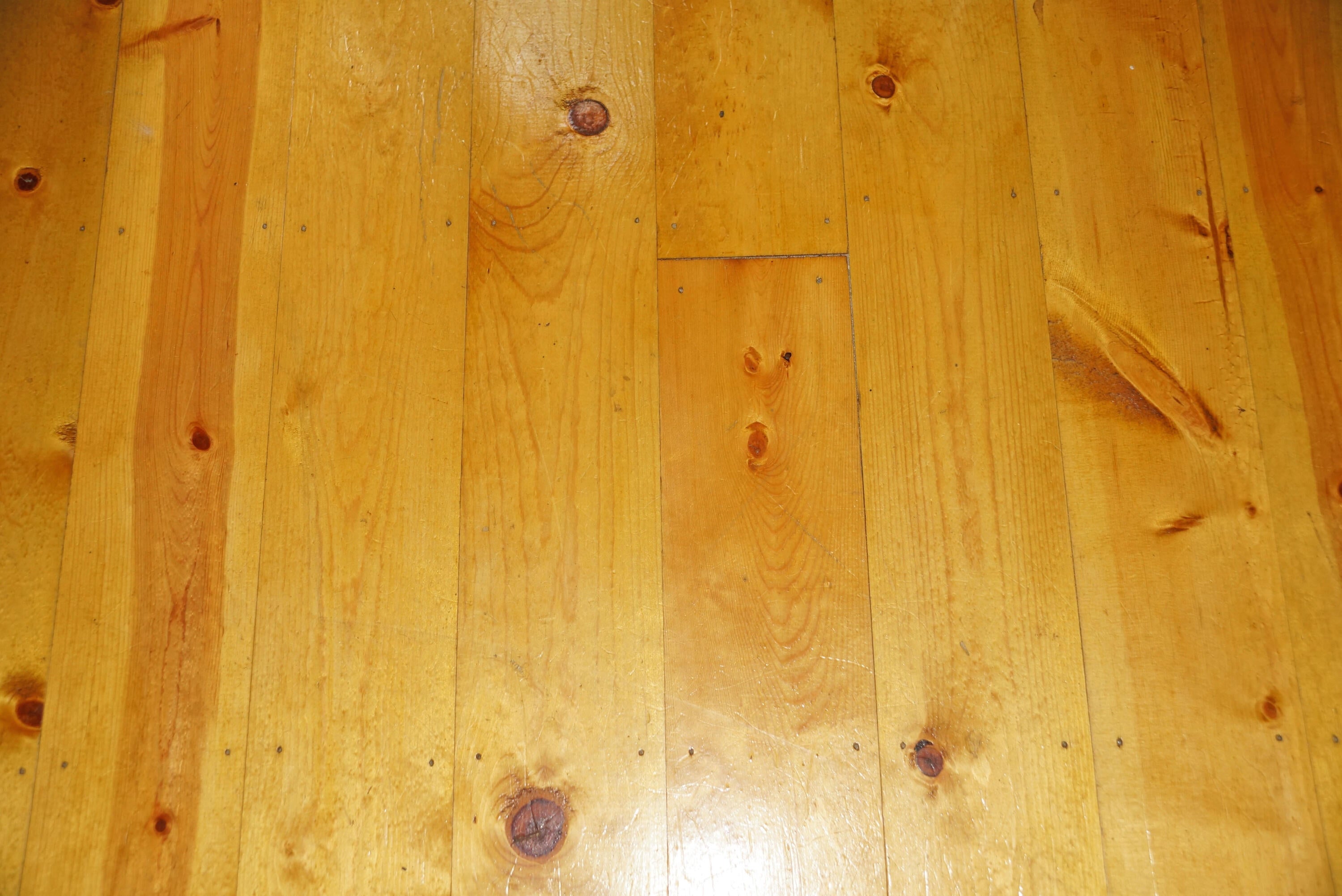 31202 West Wild Cat Road Paradise, MI 49768 - Photo 13 of 41 Gallery Image 13