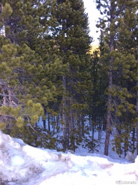 Lot 329 Eva Road Idaho Springs, CO 80452 - Photo 1 of 8 Gallery Image 1