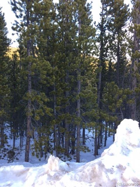 Lot 329 Eva Road Idaho Springs, CO 80452 - Photo 2 of 8 Gallery Image 2