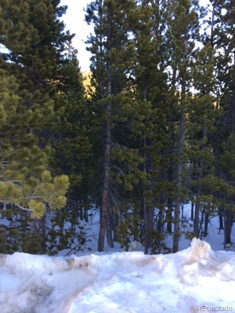 Lot 329 Eva Road Idaho Springs, CO 80452 - Photo 6 of 8 Gallery Image 6