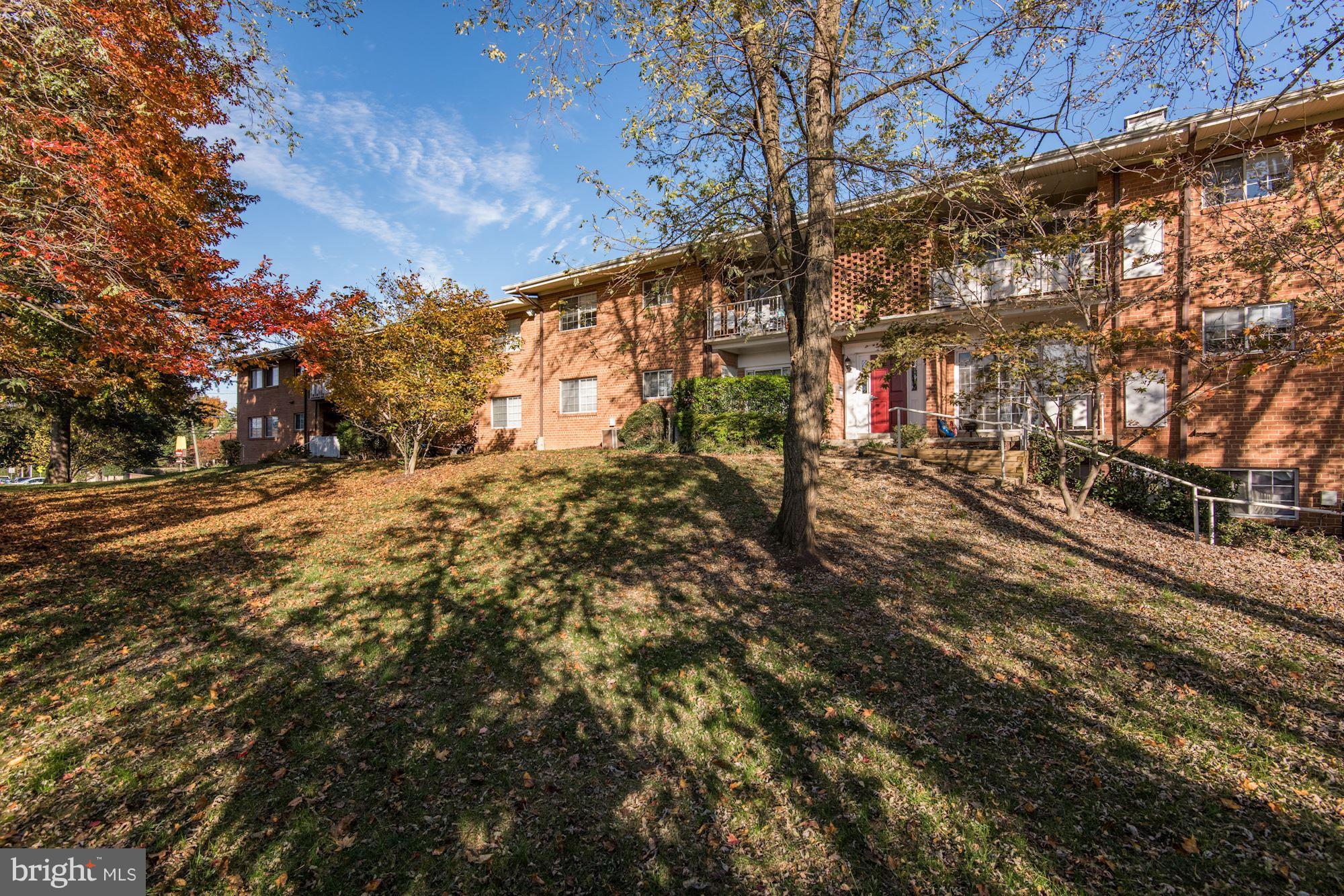 5611 Franconia Road, Unit 204 Alexandria, VA 22310 - Photo 12 of 18