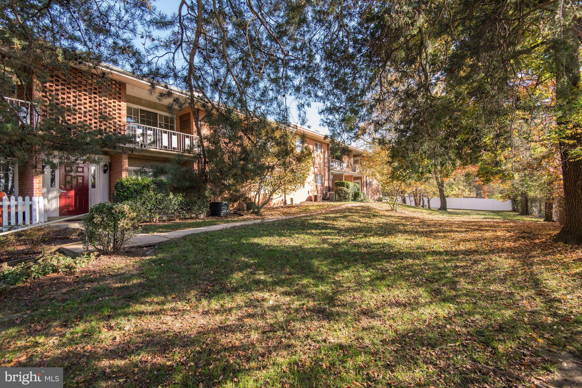 5611 Franconia Road, Unit 204 Alexandria, VA 22310 - Photo 13 of 18