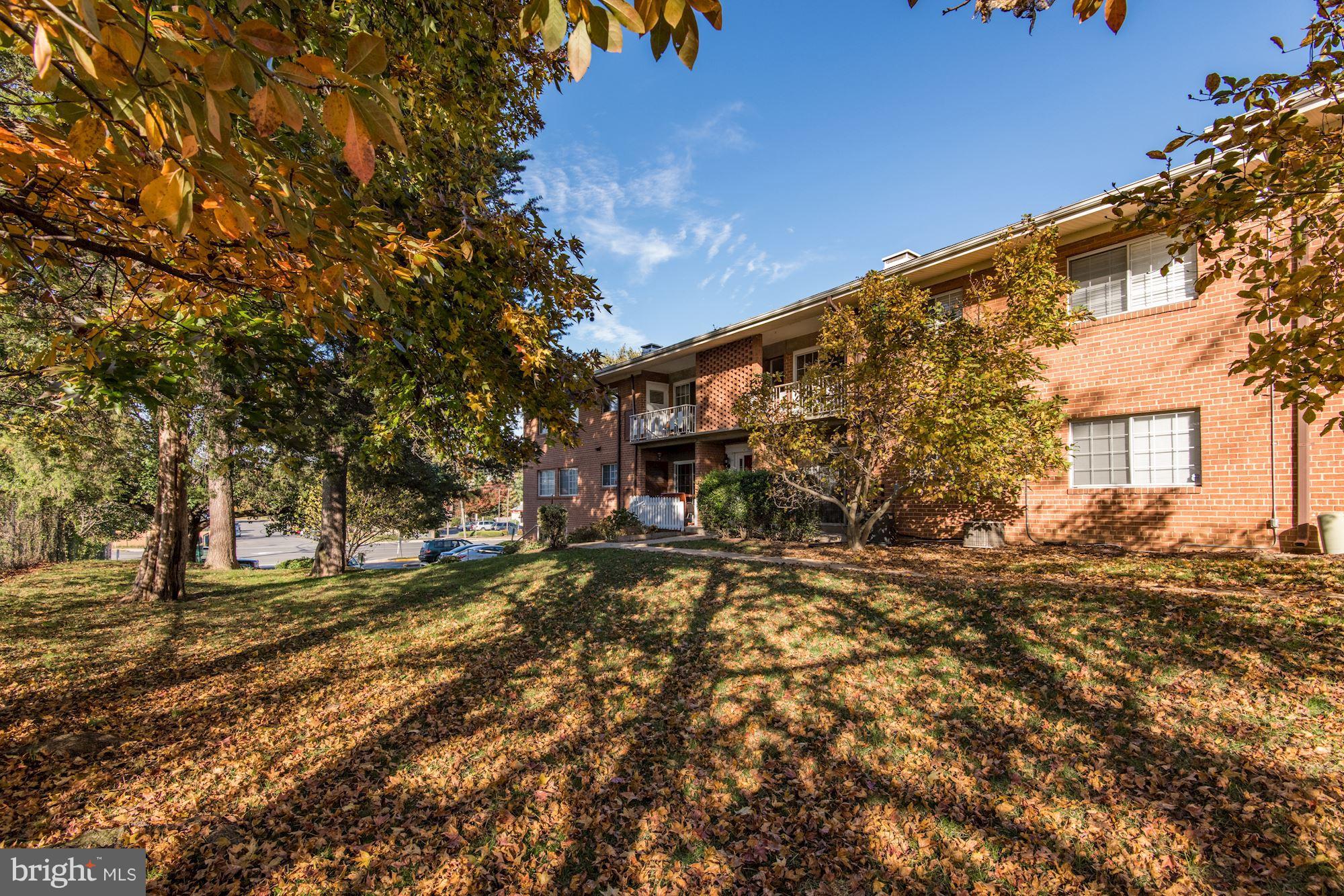 5611 Franconia Road, Unit 204 Alexandria, VA 22310 - Photo 16 of 18