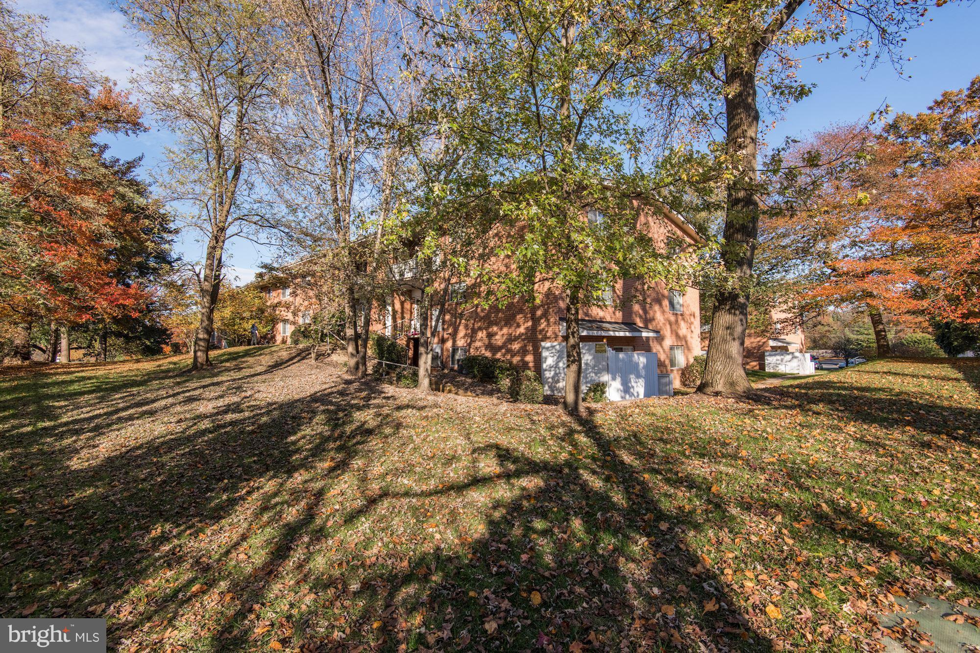 5611 Franconia Road, Unit 204 Alexandria, VA 22310 - Photo 18 of 18