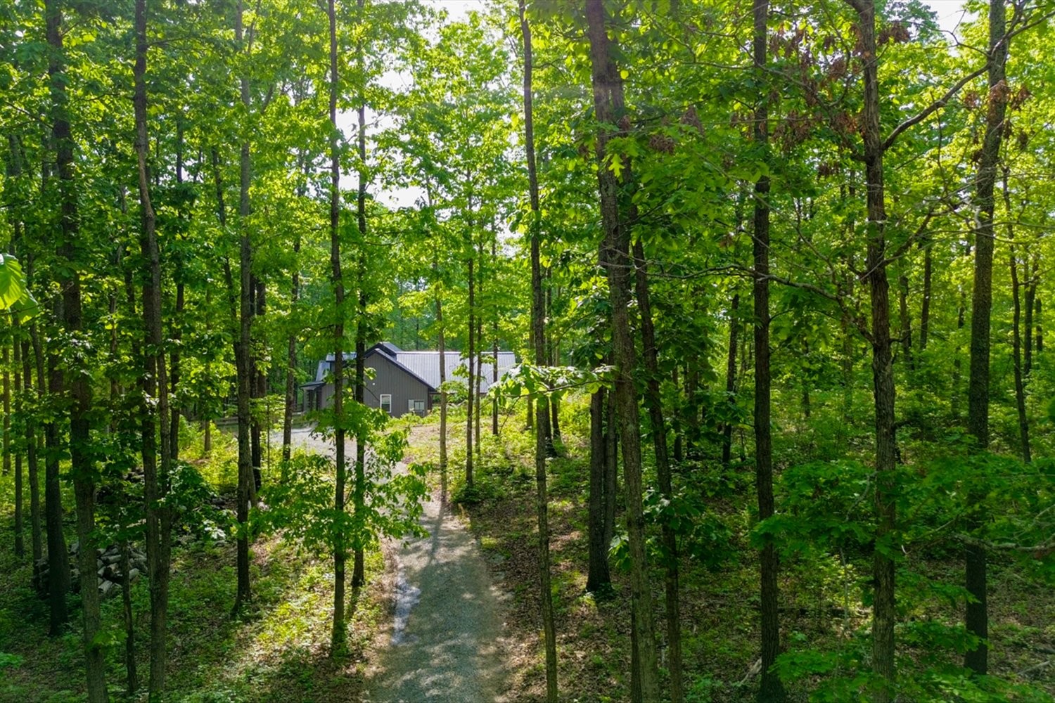8360 Pinewood Road Lyles, TN 37098 - Photo 33 of 49 a backyard of a house with lots of trees
