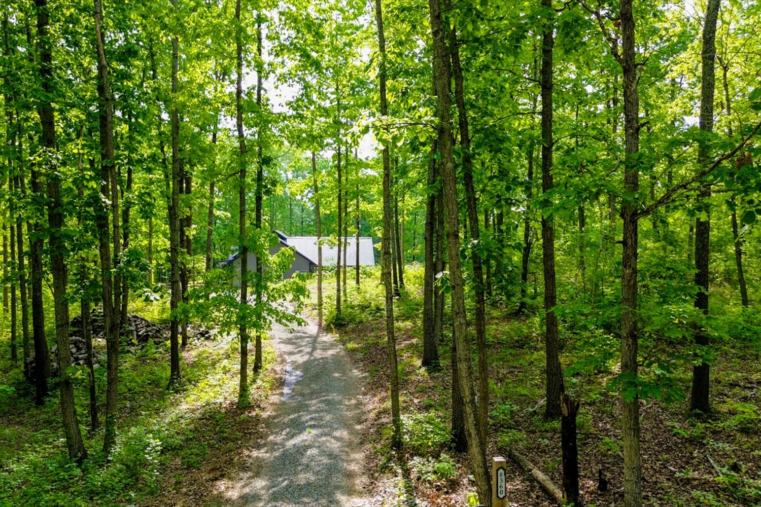 8360 Pinewood Road Lyles, TN 37098 - Photo 34 of 49 a backyard of a house with lots of green space