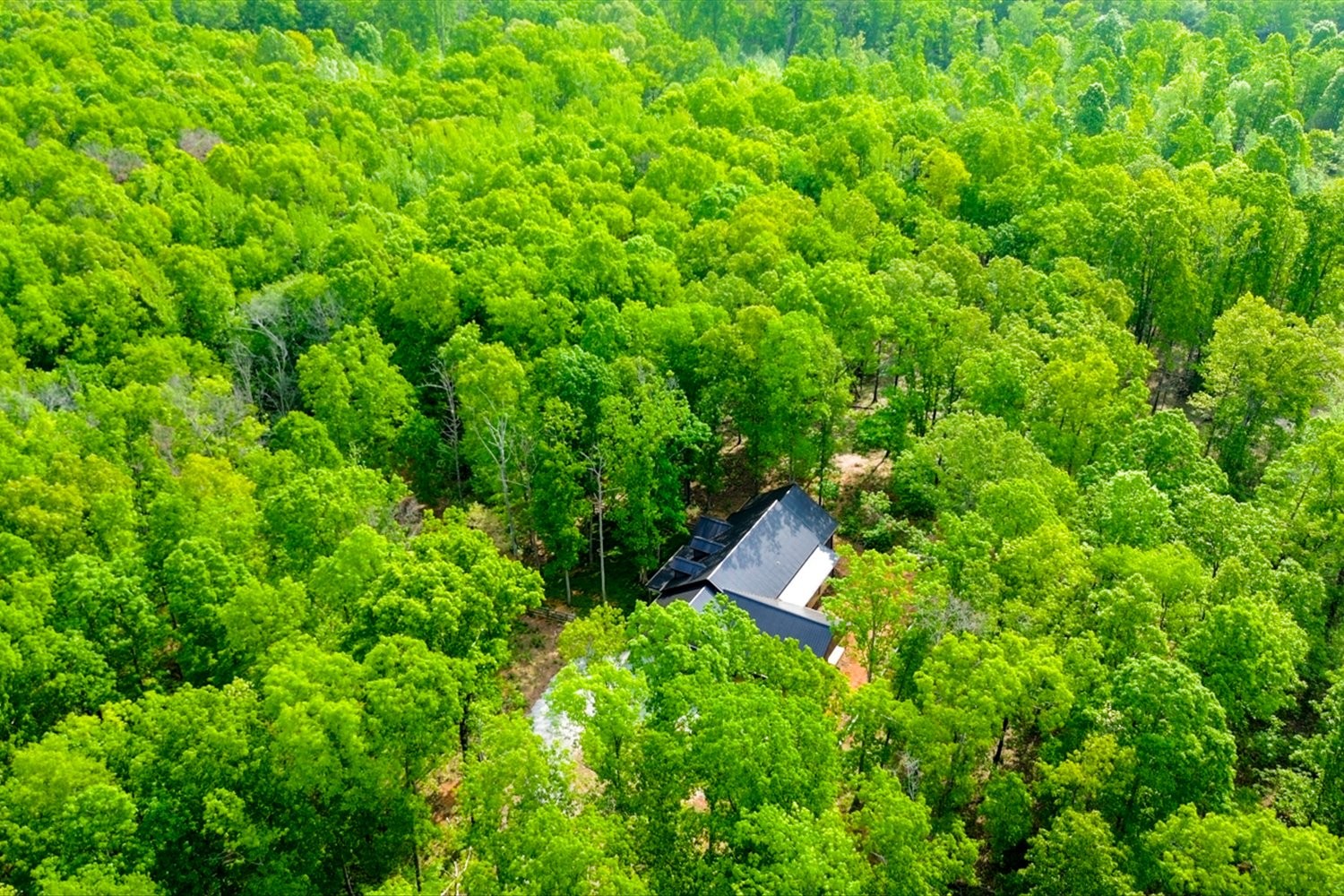 8360 Pinewood Road Lyles, TN 37098 - Photo 36 of 49 a backyard of a house with lots of green space and garden view