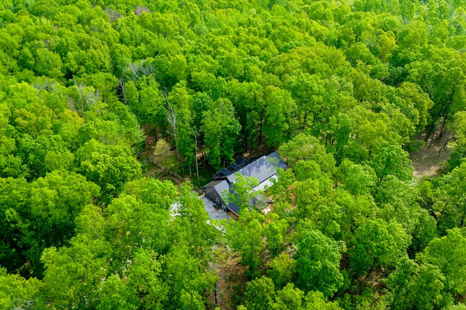 8360 Pinewood Road Lyles, TN 37098 - Photo 37 of 49 a backyard of a house with lots of trees