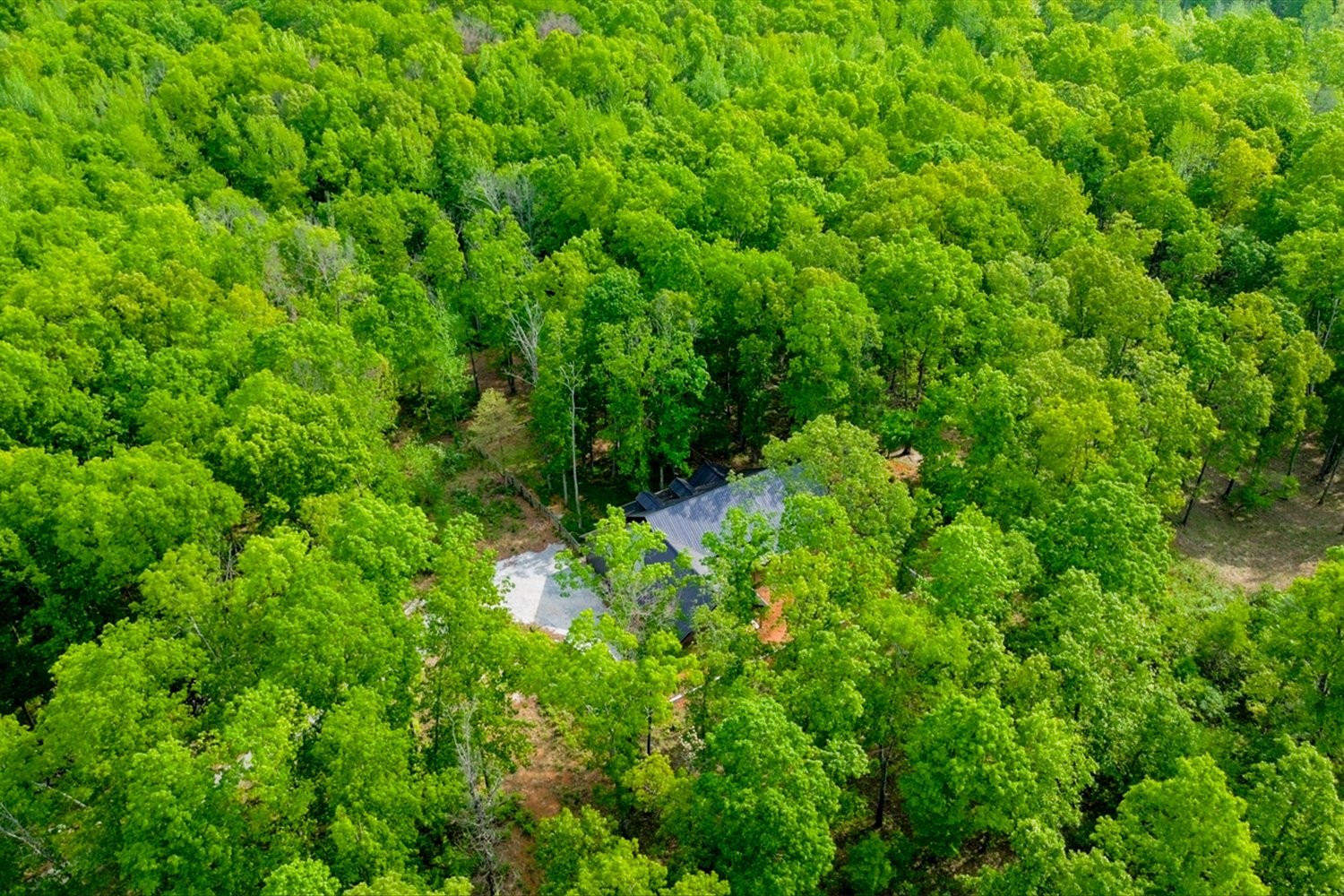 8360 Pinewood Road Lyles, TN 37098 - Photo 38 of 49 a view of a lush green forest