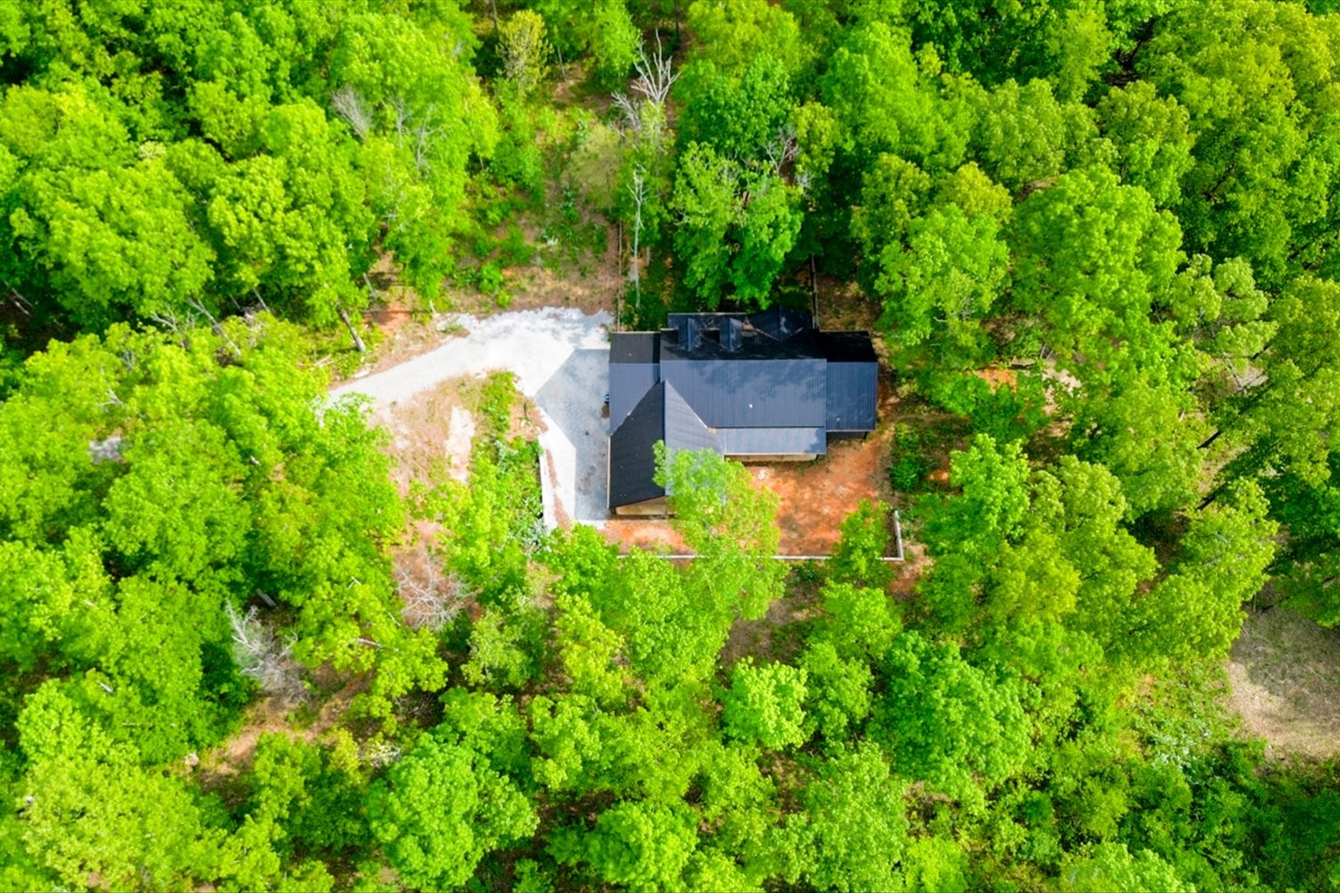 8360 Pinewood Road Lyles, TN 37098 - Photo 39 of 49 a backyard of a house with lots of green space