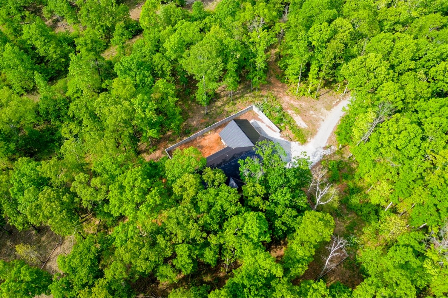 8360 Pinewood Road Lyles, TN 37098 - Photo 42 of 49 a backyard of a house with lots of green space