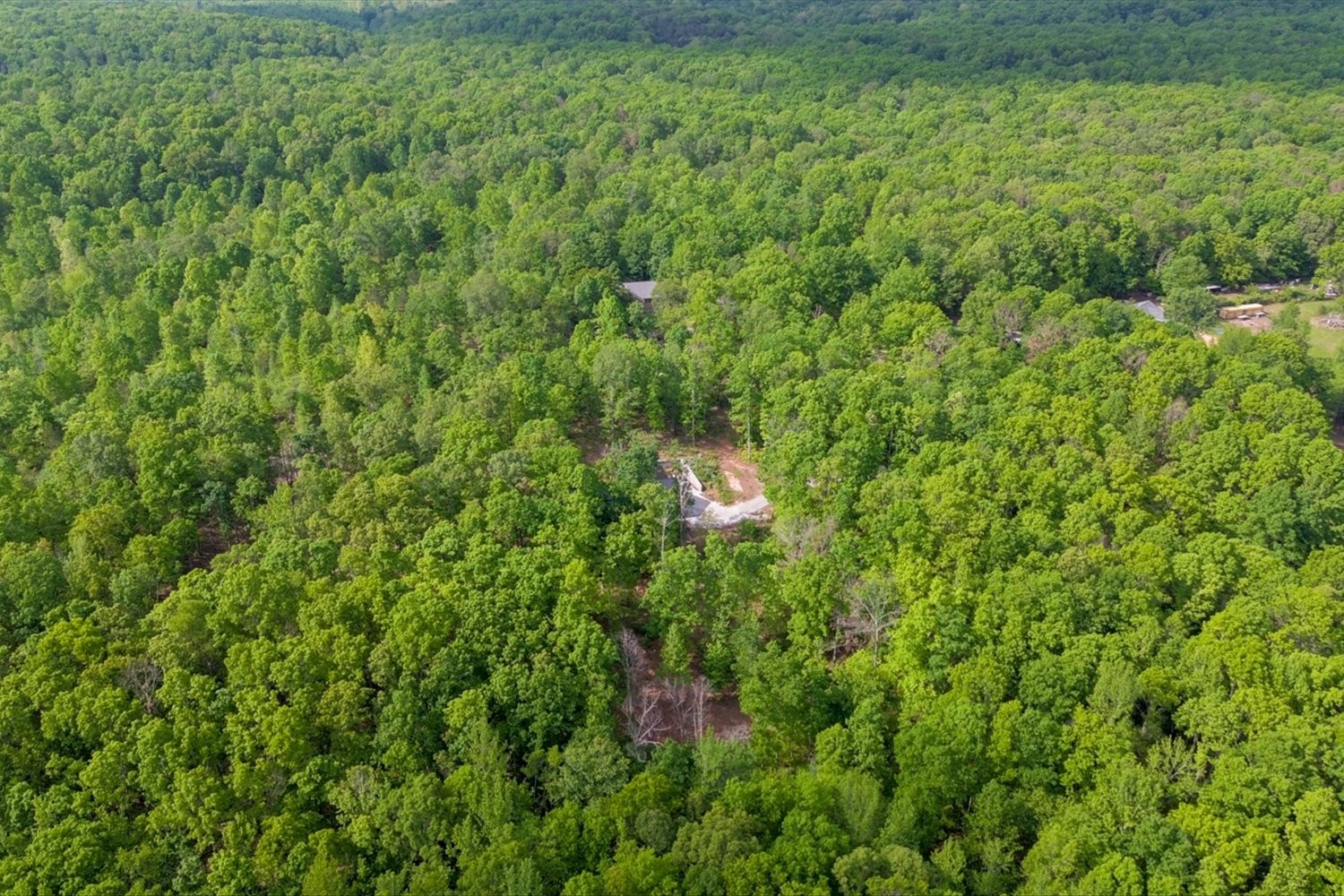 8360 Pinewood Road Lyles, TN 37098 - Photo 46 of 49 a view of a lush green field