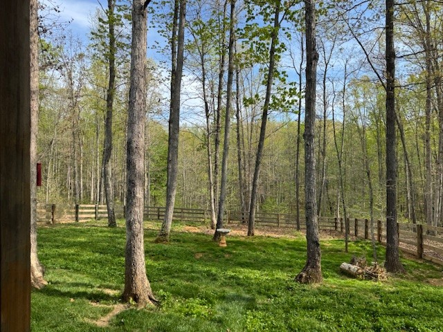 8360 Pinewood Road Lyles, TN 37098 - Photo 7 of 49 a view of outdoor space and garden