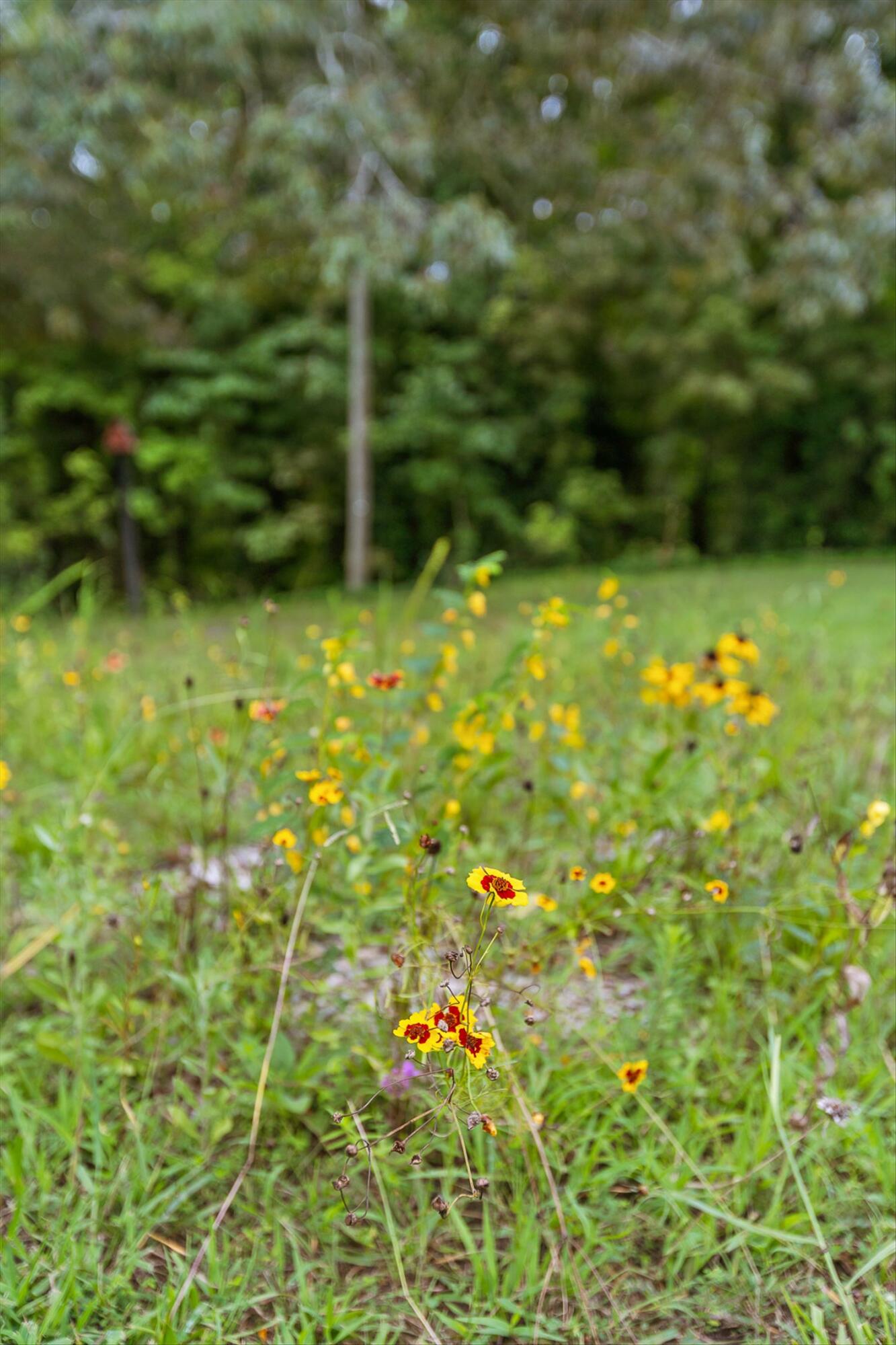8834 Gann Road Soddy Daisy, TN 37379 - Photo 23 of 26 11-Gann Store-10