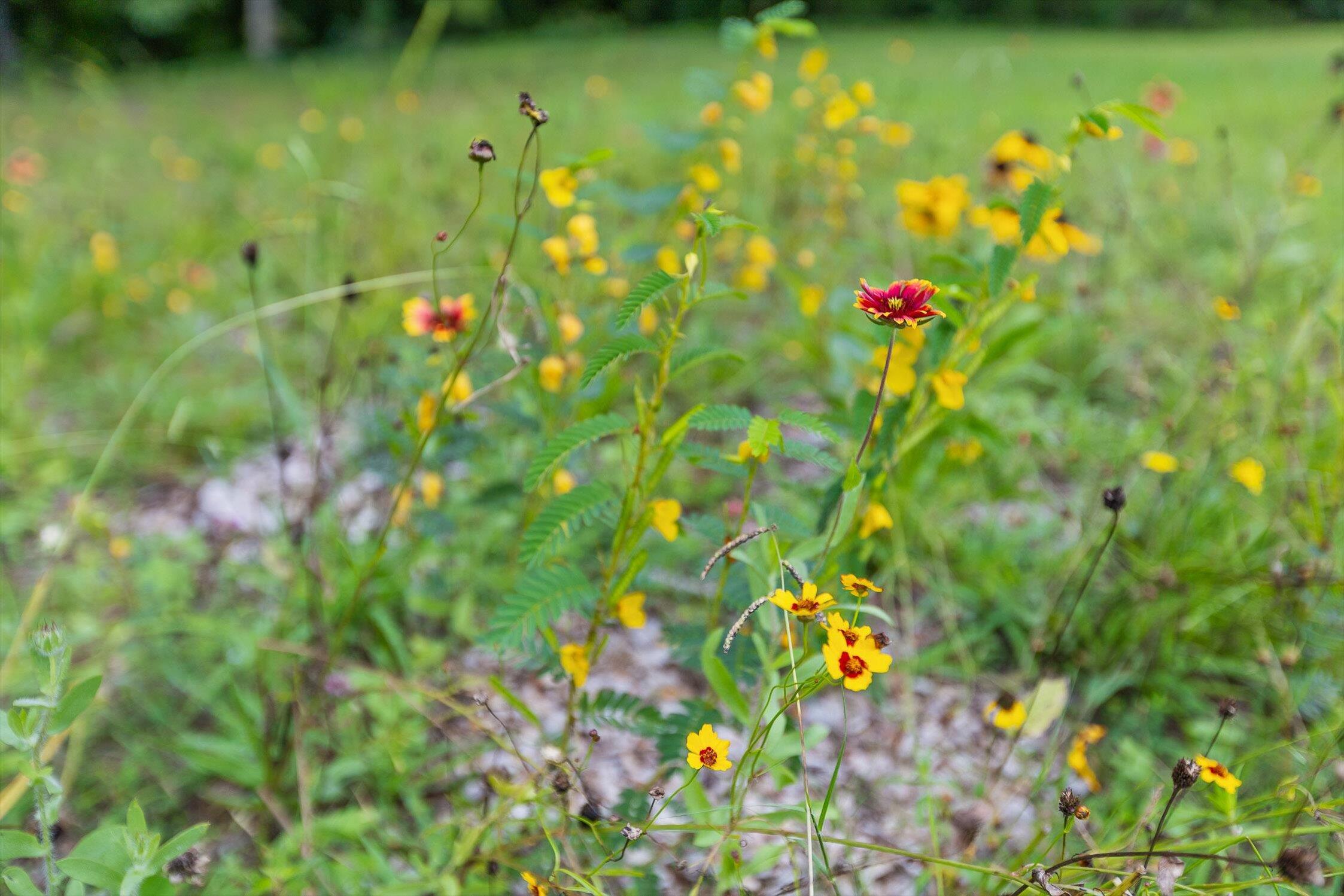 8834 Gann Road Soddy Daisy, TN 37379 - Photo 24 of 26 12-Gann Store-11