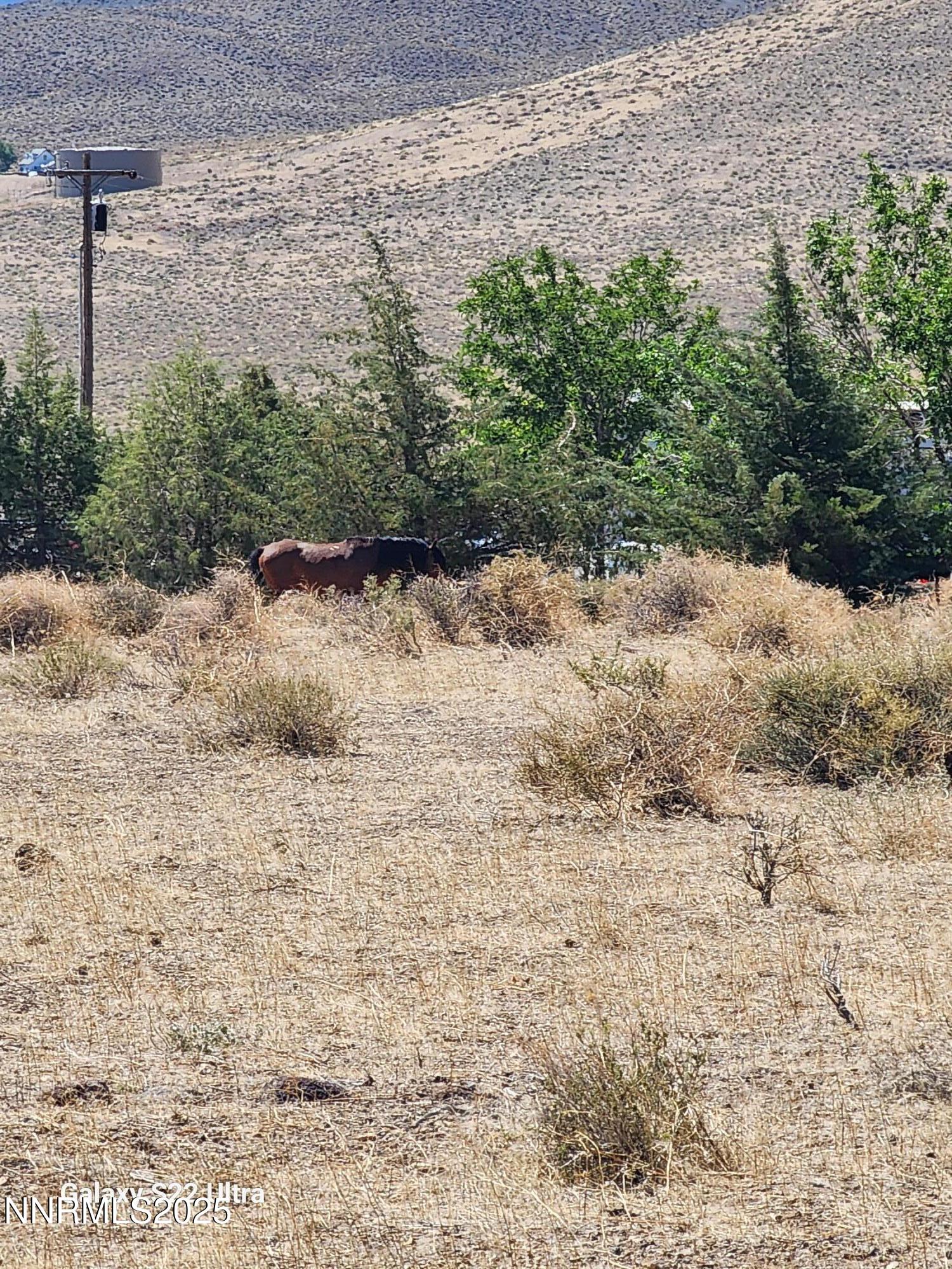 0 Glick Road Silver Springs, NV 89429 - Photo 16 of 16 1000023809