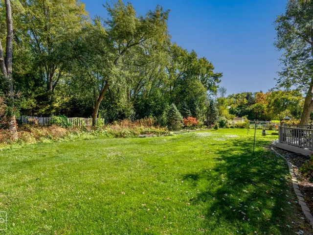 a view of yard with green space
