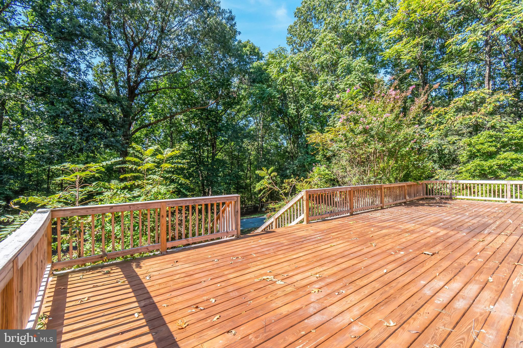 14113 Harrisville Road Mount Airy, MD 21771 - Photo 53 of 67