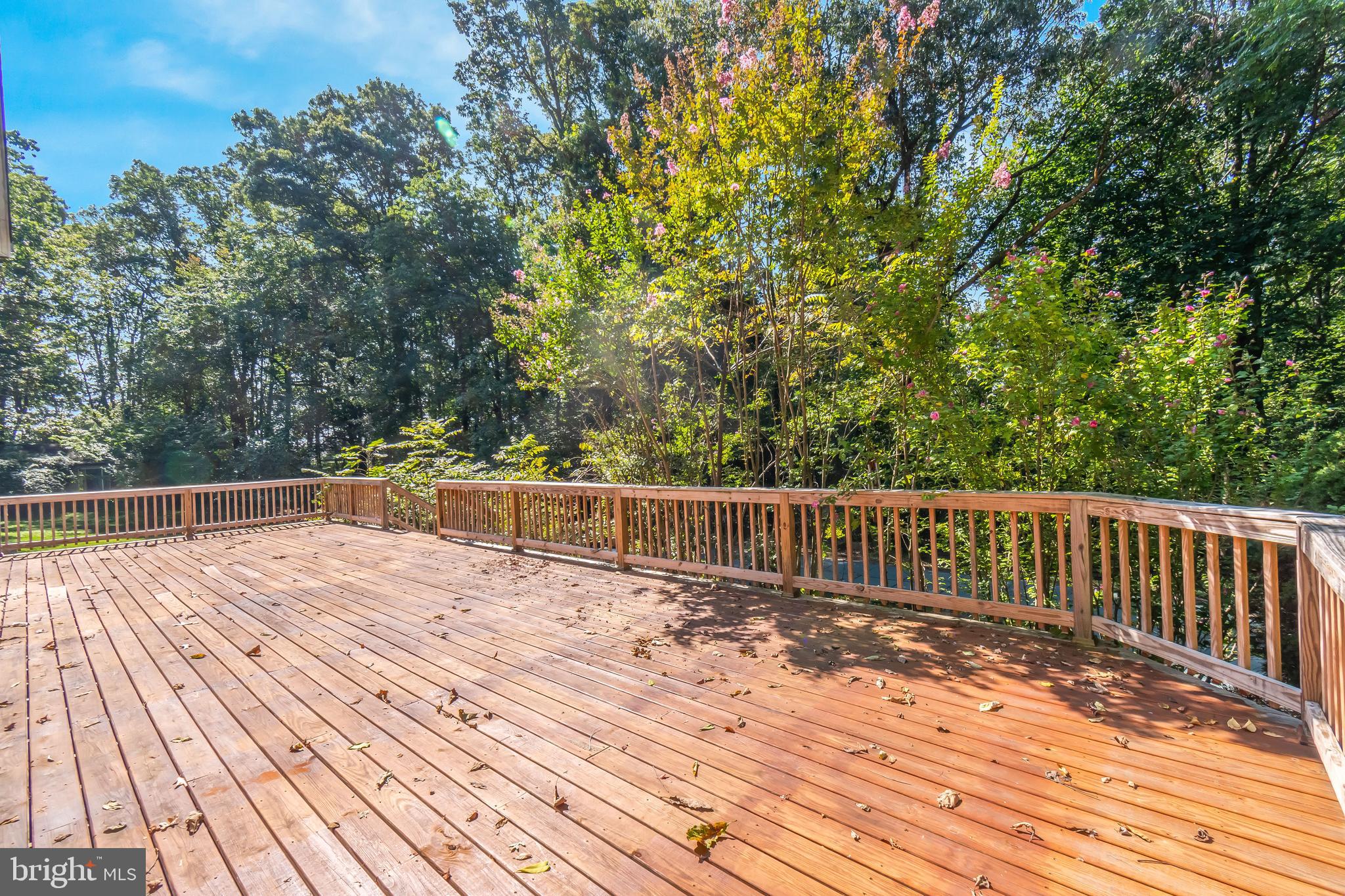 14113 Harrisville Road Mount Airy, MD 21771 - Photo 54 of 67