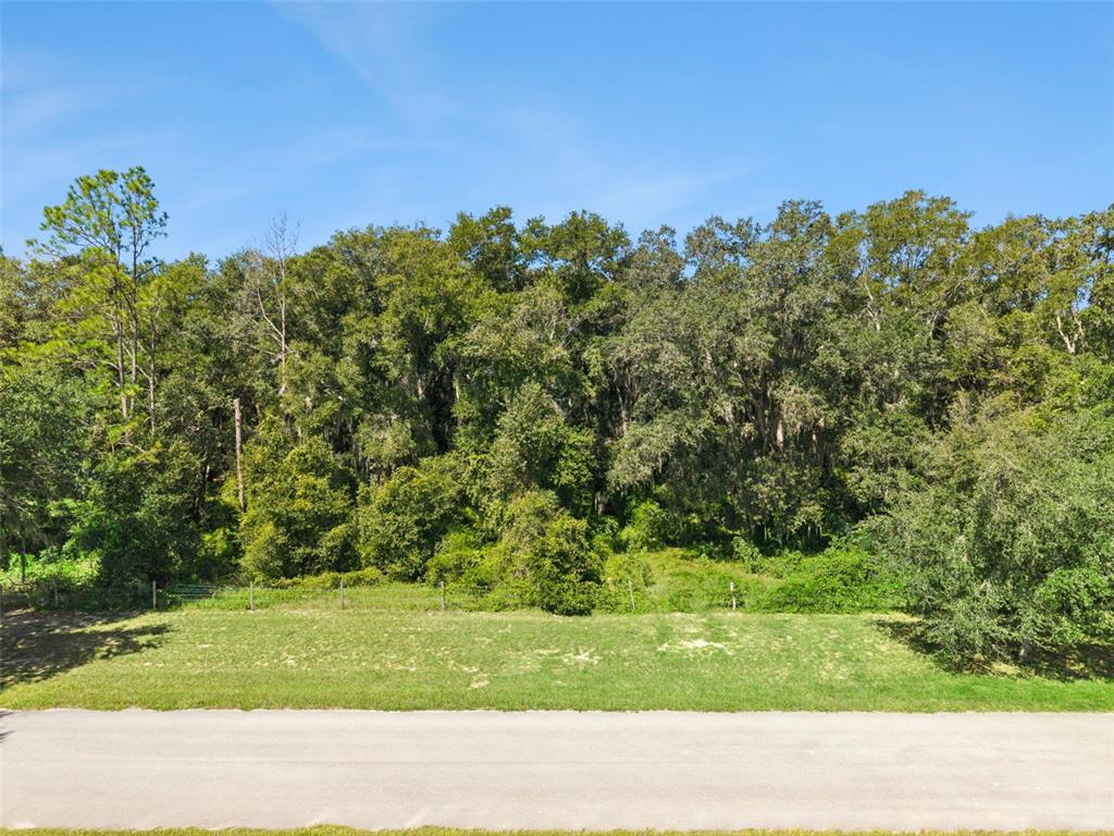 Grass Roots Road Groveland, FL 34736 - Photo 2 of 24 Gallery Image 2