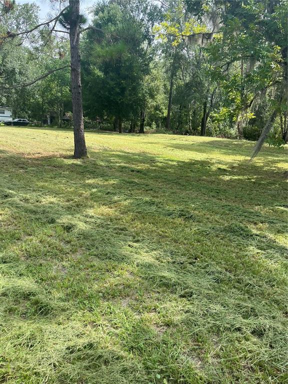 11226 Clarence Bennett Road Sanderson, FL 32087 - Photo 3 of 11