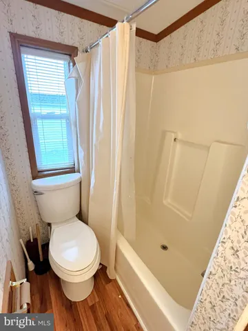 a white toilet sitting next to a shower curtain