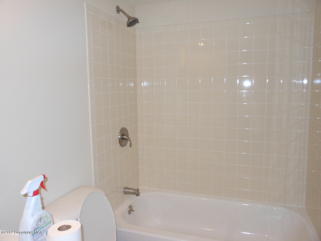 52 Locust Ridge Road Pocono Lake, PA 18347 - Photo 7 of 8 Bathroom
