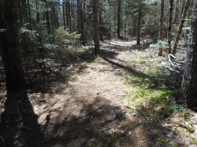 397 Transalpine Road Lincoln, ME 04457 - Photo 26 of 26 20200515023312631448000000-o