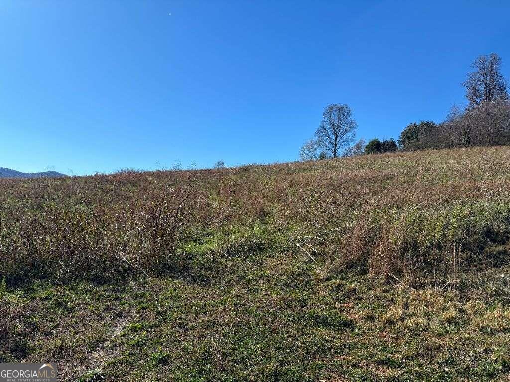 1 Windy Ridge Lane Hayesville, NC 28904 - Photo 22 of 26 a view of a field with mountains in background