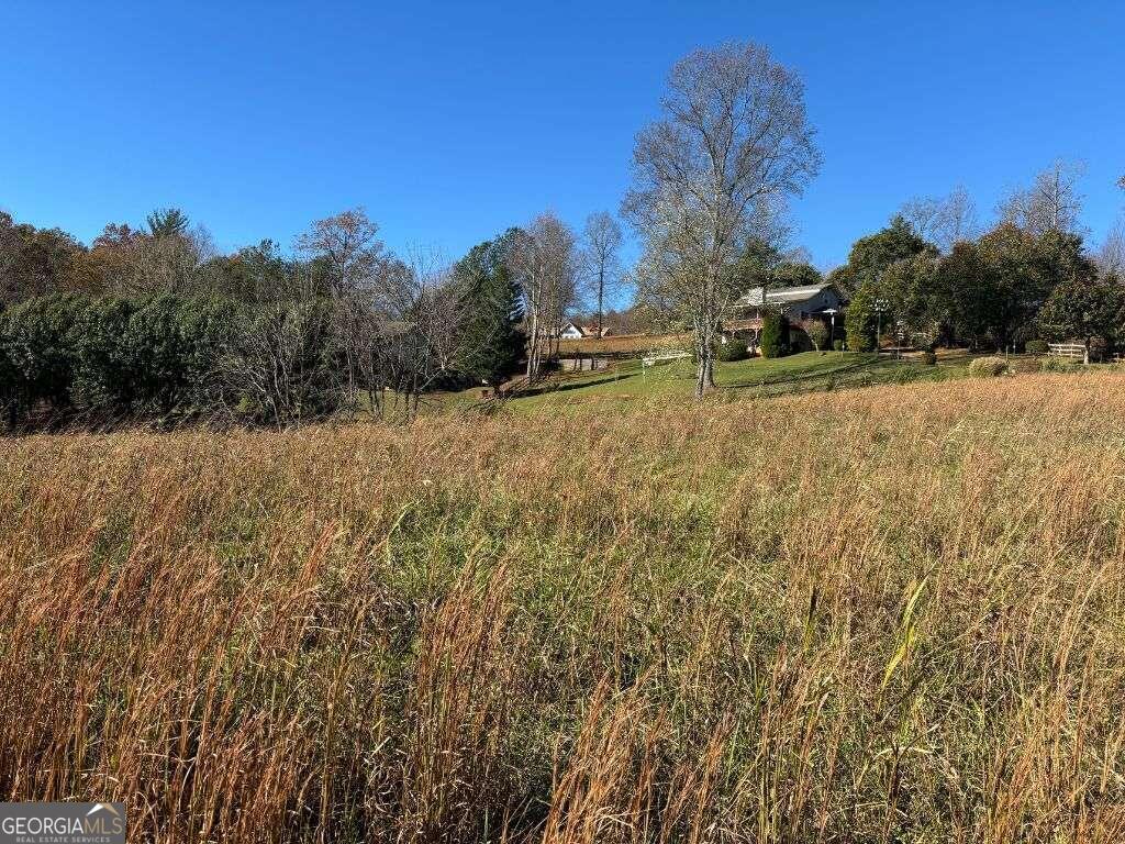 1 Windy Ridge Lane Hayesville, NC 28904 - Photo 23 of 26 a view of a field with trees in the background