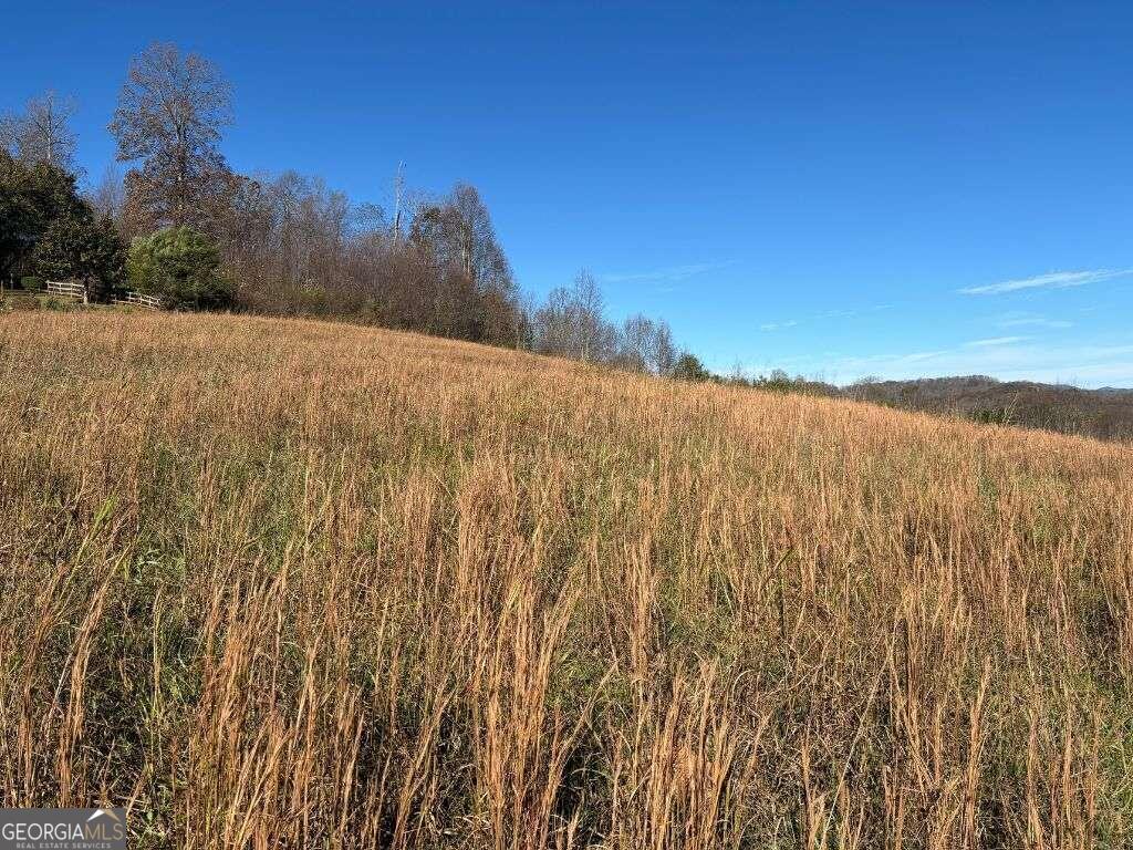 1 Windy Ridge Lane Hayesville, NC 28904 - Photo 24 of 26 a view of mountain view with mountains in the background