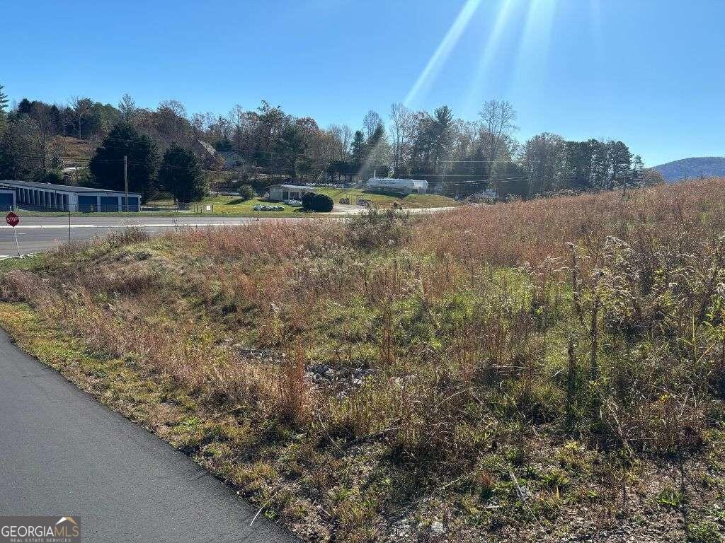 1 Windy Ridge Lane Hayesville, NC 28904 - Photo 8 of 26 a view of outdoor space with green field and trees